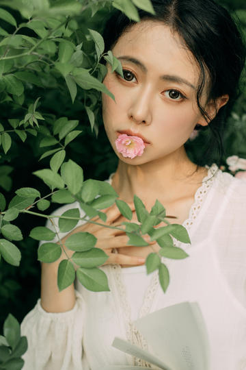 潘杨讼